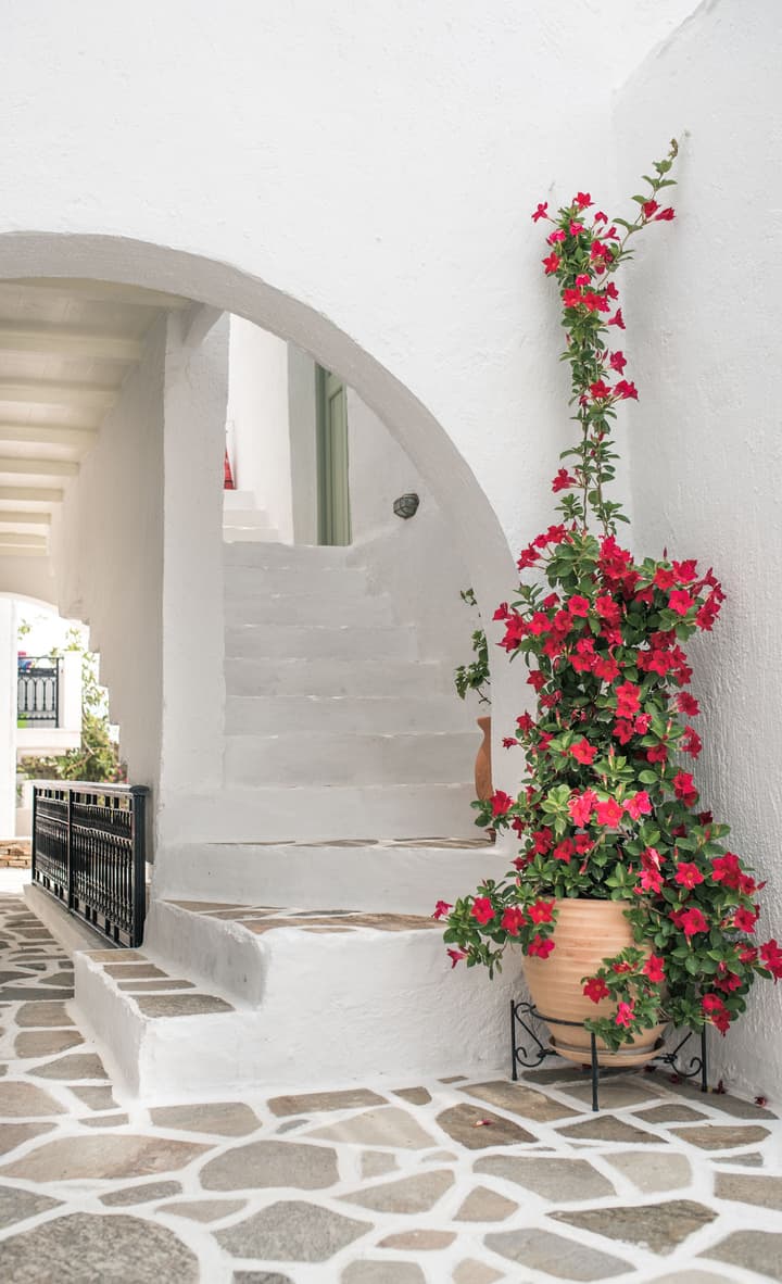 Nastasia Village Boutique Hotel