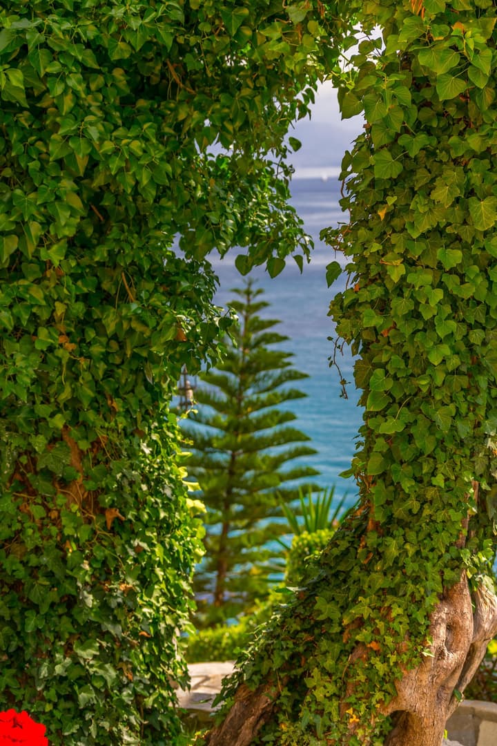 Oasis Hotel