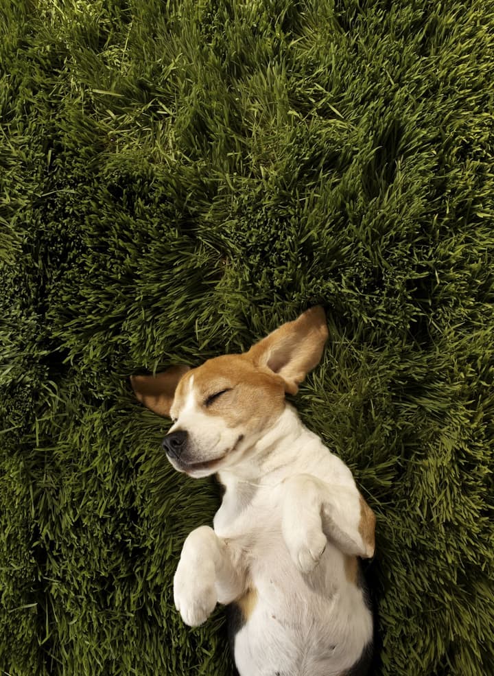 Element by Marriott Miami International Airport