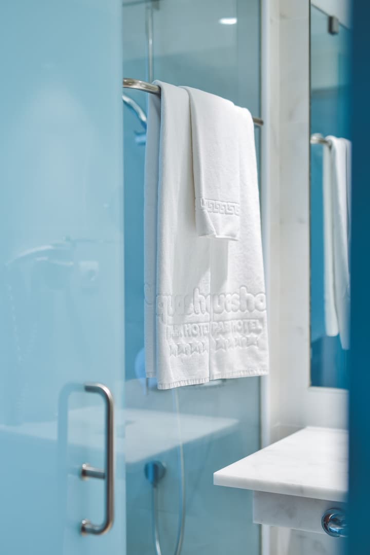 Aquashow Park Hotel
