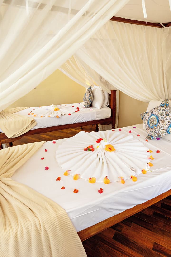 Essque Zalu Zanzibar