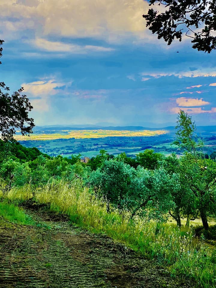 LaChiusa Tuscany