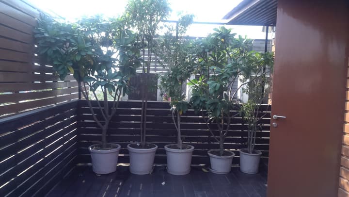 Udman Panchshila Park by Ferns N Petals