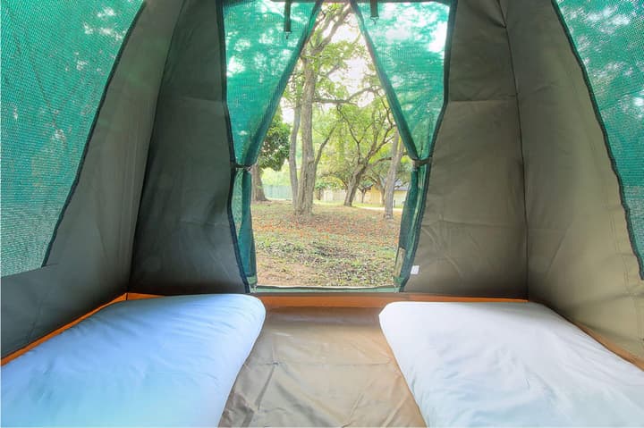 Kruger Adventure Lodge