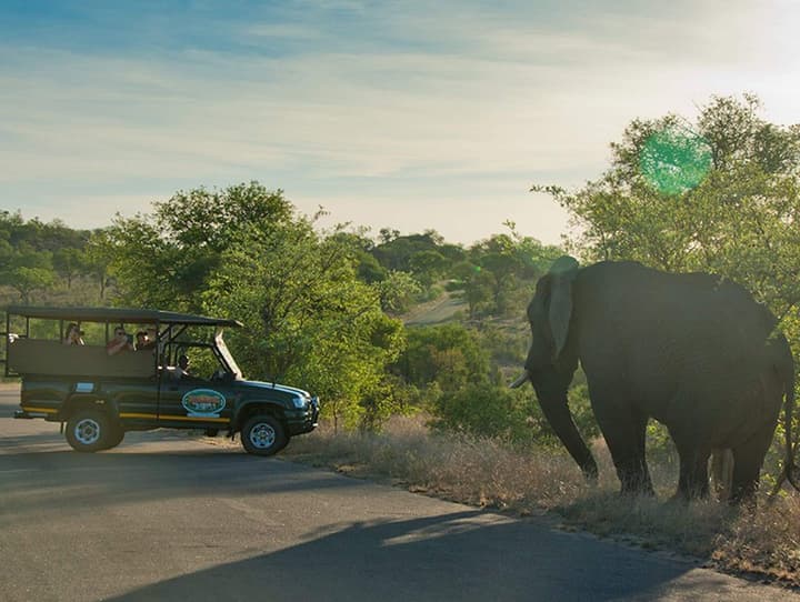 Kruger Adventure Lodge