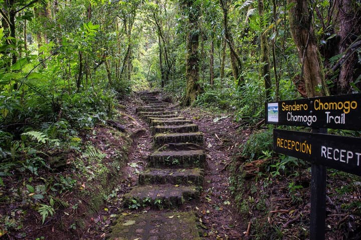 Monteverde Lodge by Böëna