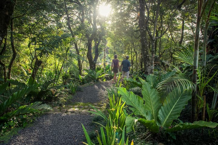 Monteverde Lodge by Böëna