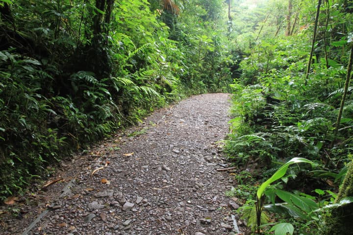 Monteverde Lodge by Böëna
