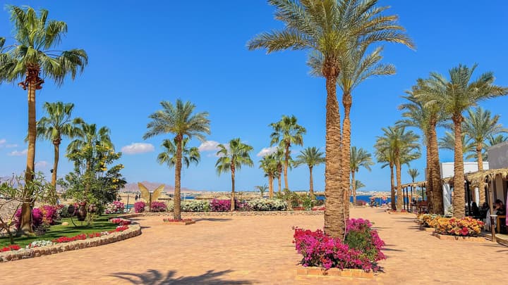 Club Reef Resort & Spa