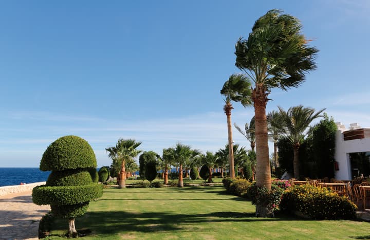 Sharm Club Beach Resort