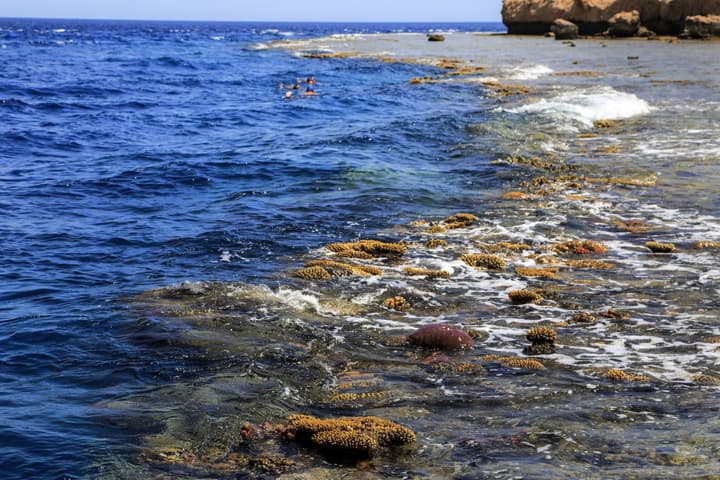 Sharm Club Beach Resort