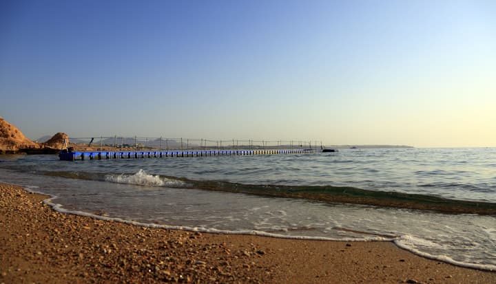Sharm Club Beach Resort