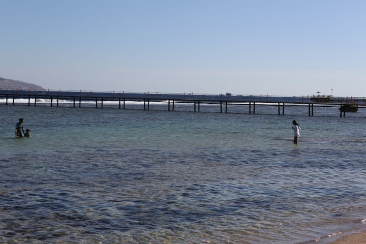 Sharm Club Beach Resort