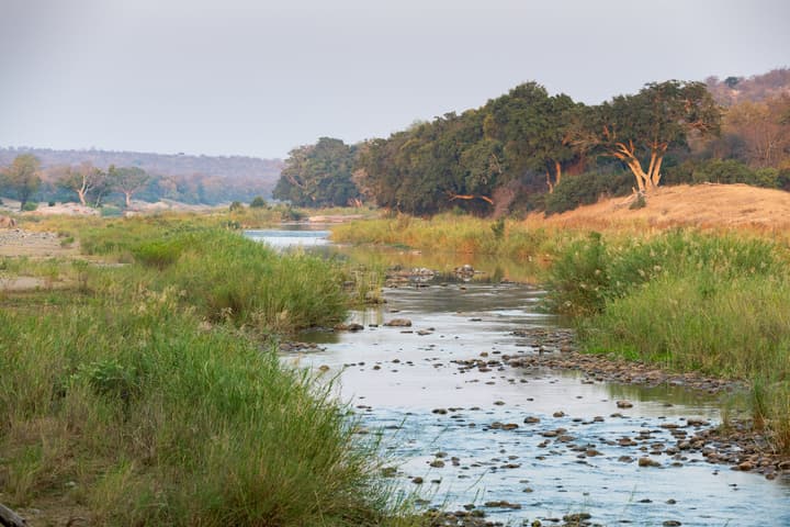 Pondoro Game Lodge  - Open to Kruger Park