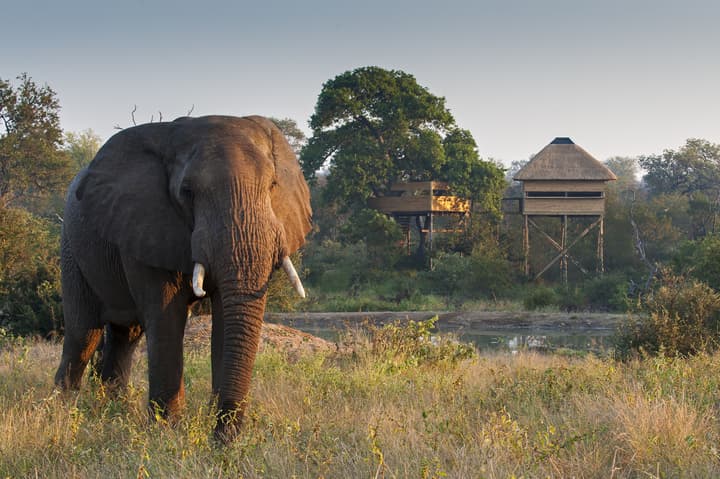 Pondoro Game Lodge  - Open to Kruger Park