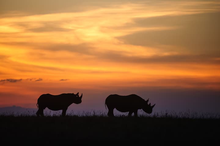 Pondoro Game Lodge  - Open to Kruger Park