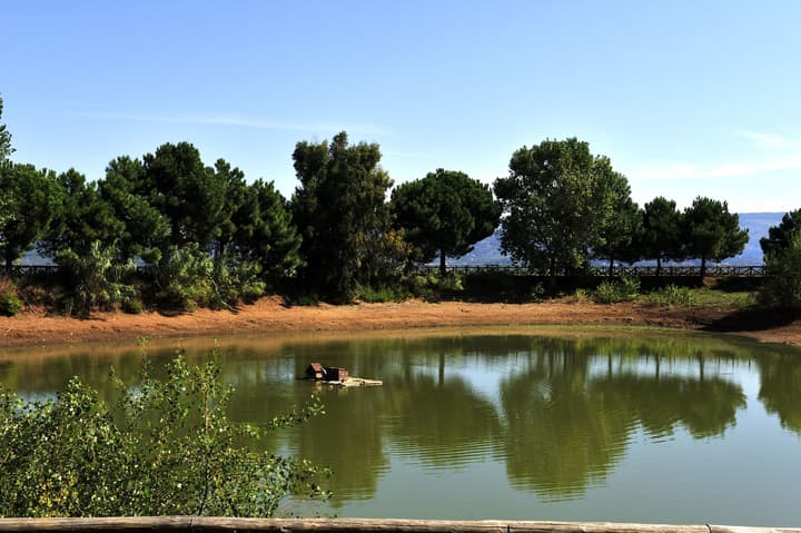Popilia Country Resort
