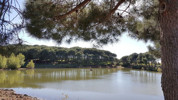 Popilia Country Resort