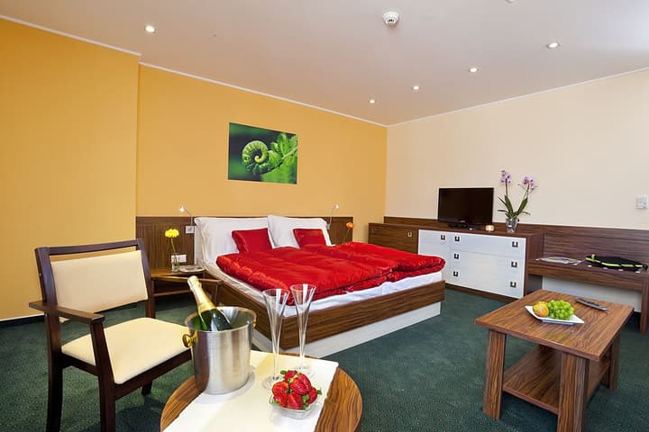 Hotel Viktor