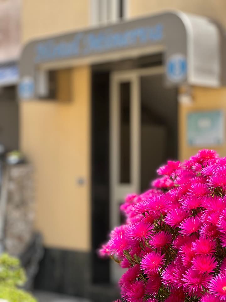 Hotel Minerva