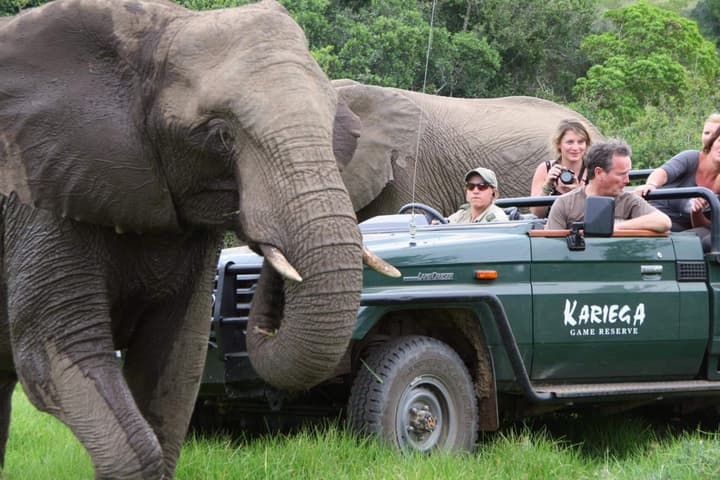 Kariega Game Reserve - Main Lodge