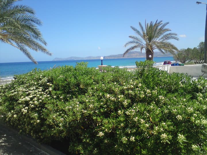 Petras Beach