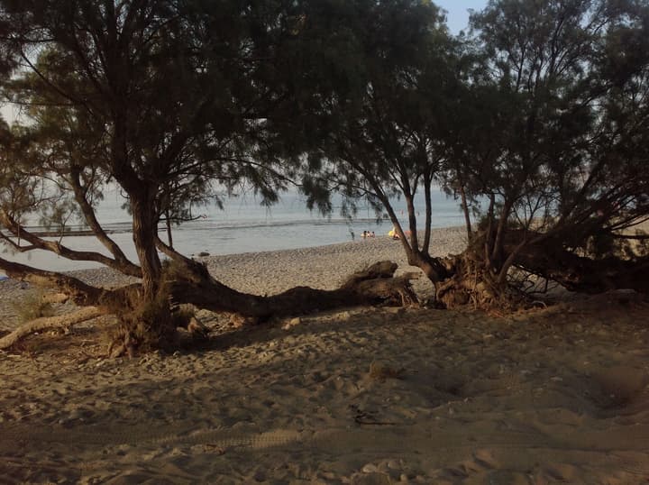 Petras Beach