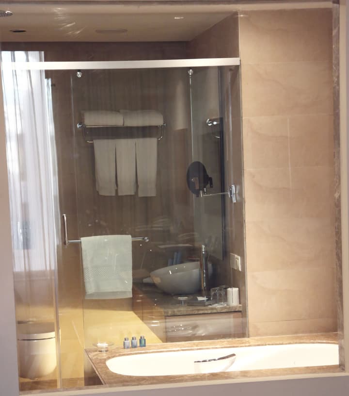 Radisson Blu Hotel New Delhi Dwarka