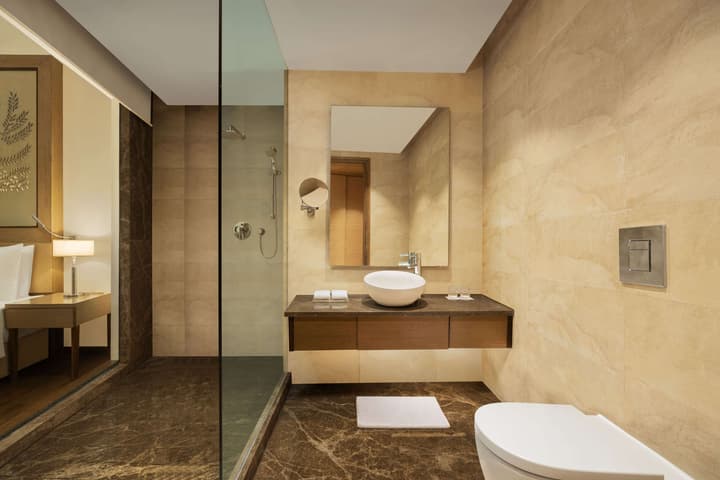 Radisson Blu Hotel New Delhi Dwarka