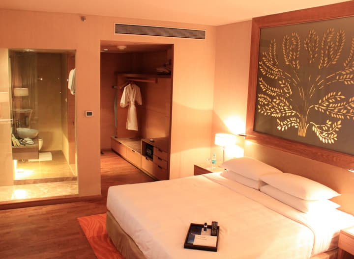 Radisson Blu Hotel New Delhi Dwarka