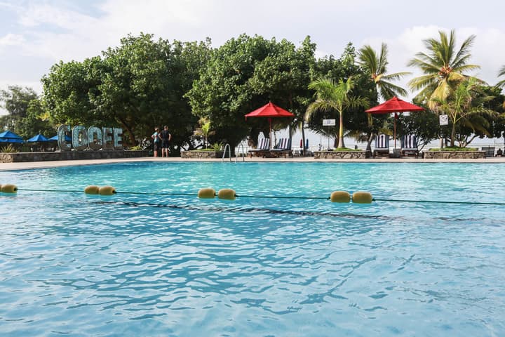 The Palms