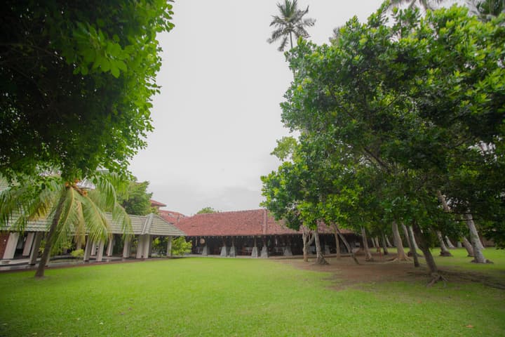 The Palms