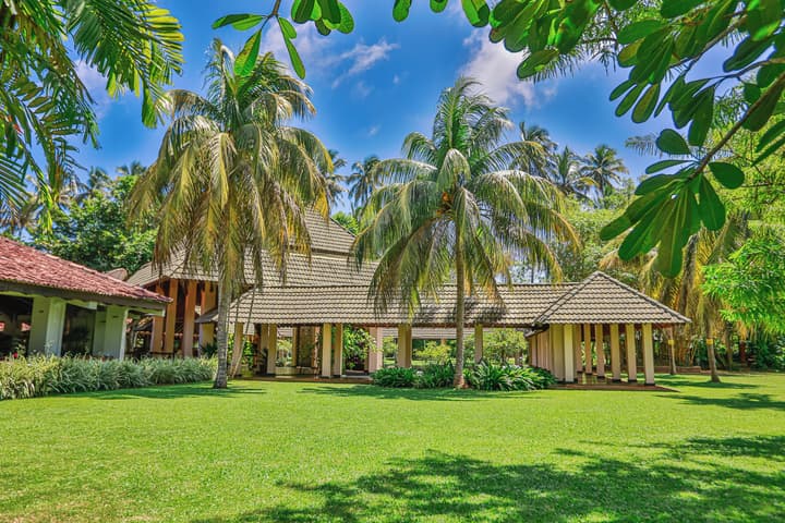 The Palms
