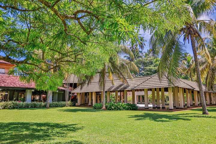 The Palms