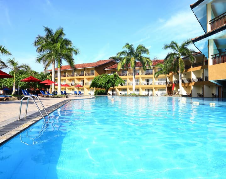 The Palms