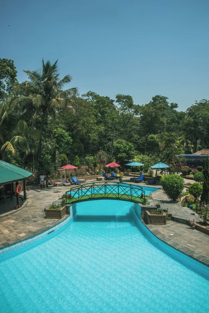 Safari Adventure Lodge