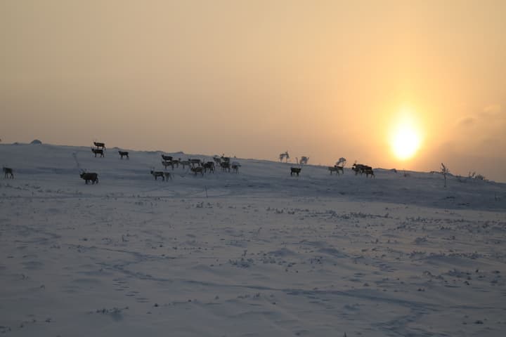Nuorgam Holiday Village