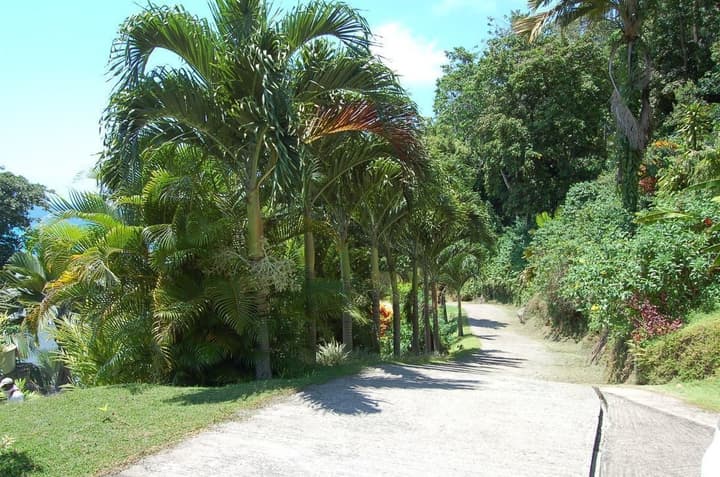 Sailfish Beach Villas