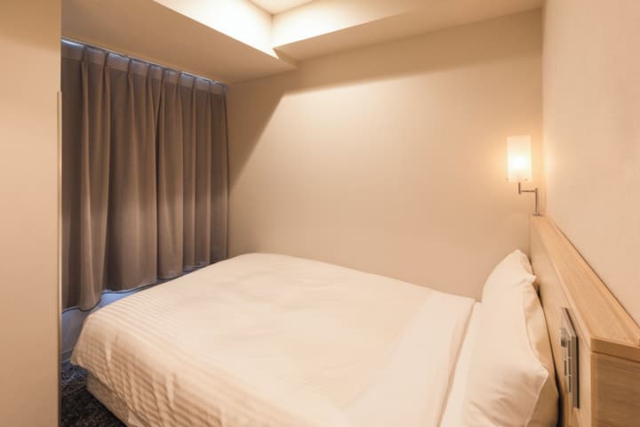 Sotetsu Fresa Inn Tokyo Kyobashi