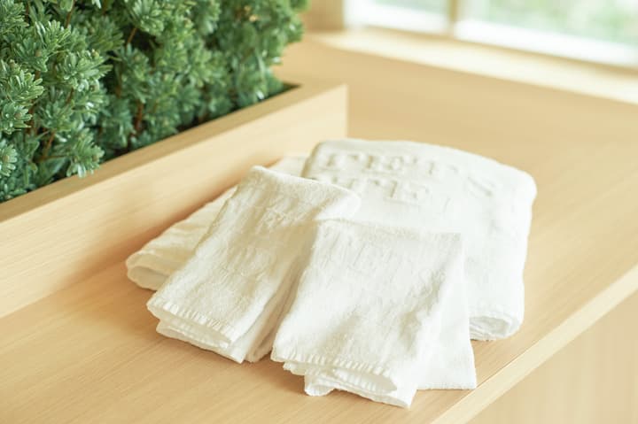 Sotetsu Fresa Inn Tokyo Kyobashi