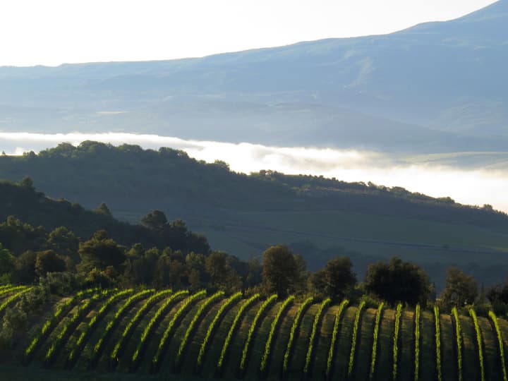 Castello Banfi - Il Borgo - Relais et Chateaux