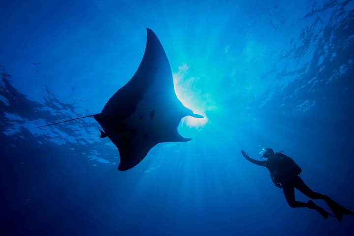 Dusit Thani Maldives - 50 percent off on for Stays of 5 Nights stay until 23 October 2026