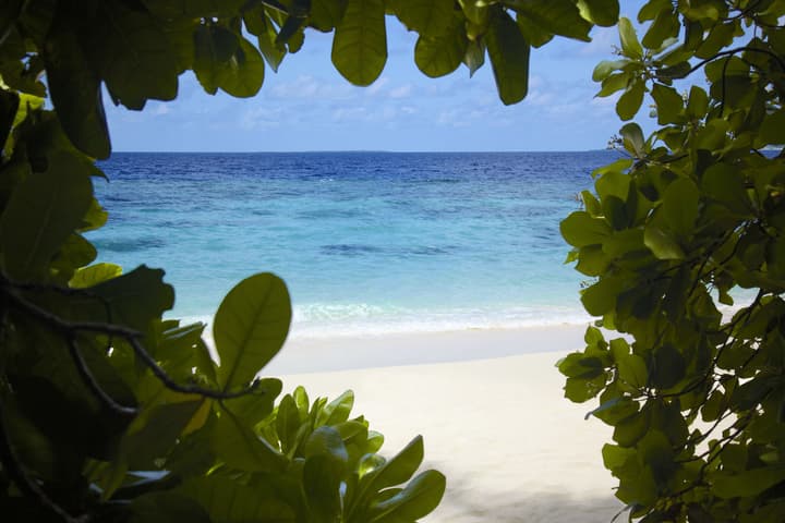 Dusit Thani Maldives - 50 percent off on for Stays of 5 Nights stay until 23 October 2026