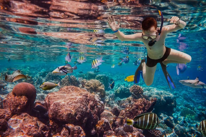 Dusit Thani Maldives - 50 percent off on for Stays of 5 Nights stay until 23 October 2026