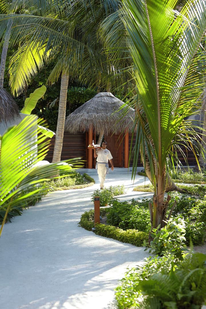 Dusit Thani Maldives - 50 percent off on for Stays of 5 Nights stay until 23 October 2026