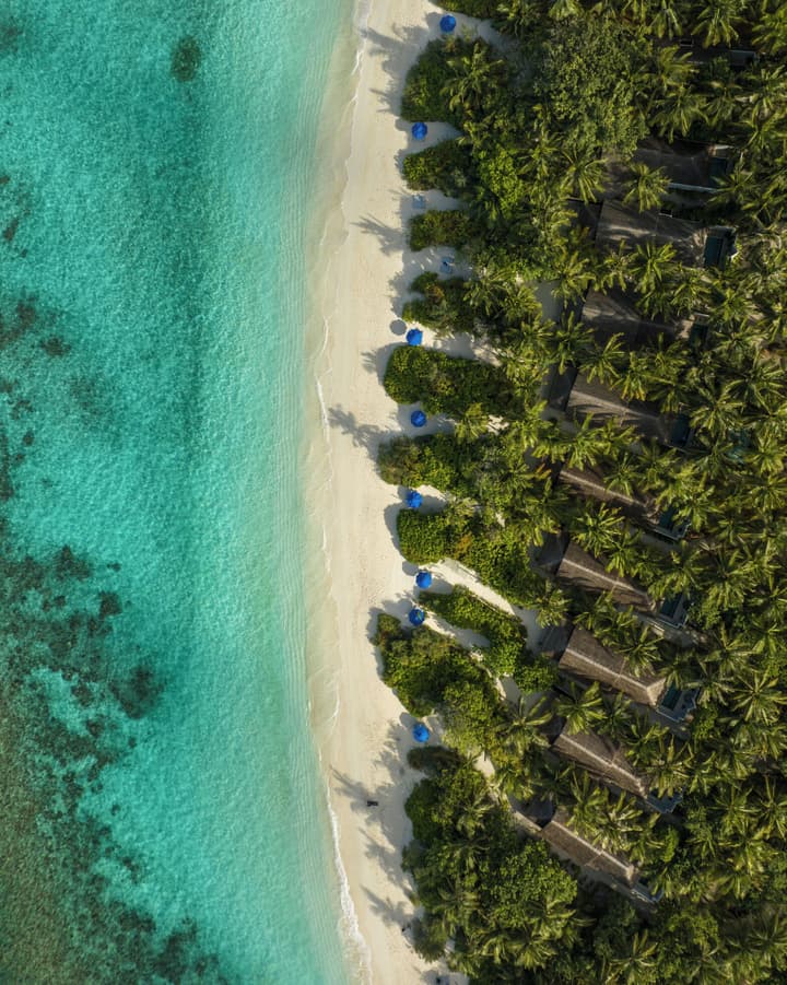 Dusit Thani Maldives - 50 percent off on for Stays of 5 Nights stay until 23 October 2026