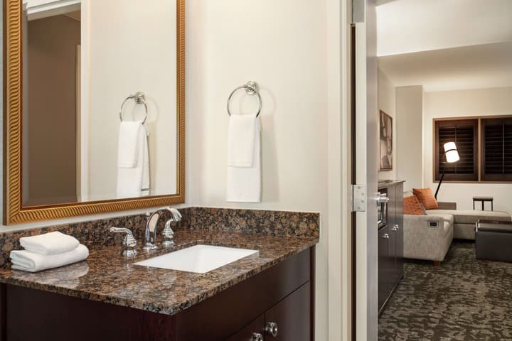 Embassy Suites by Hilton Orlando Lake Buena Vista South