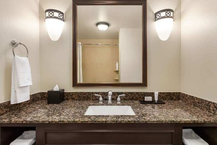 Embassy Suites by Hilton Orlando Lake Buena Vista South