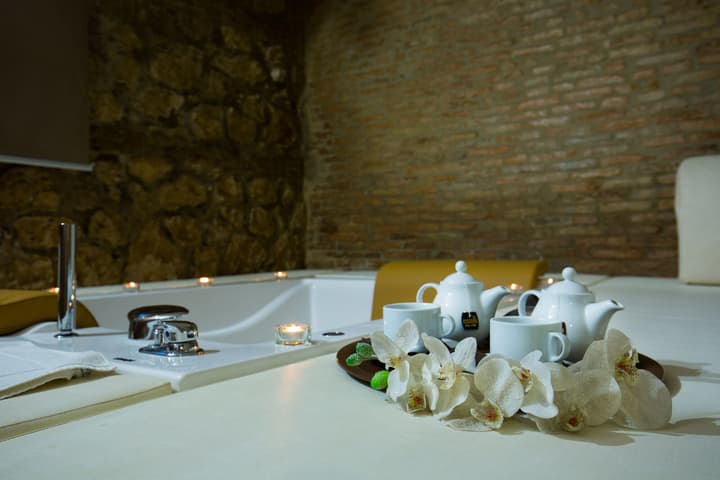 Hotel Plana