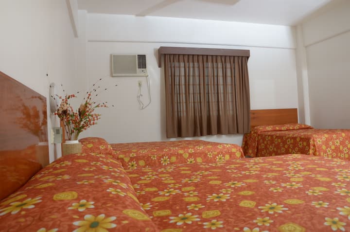 Hotel Delfines